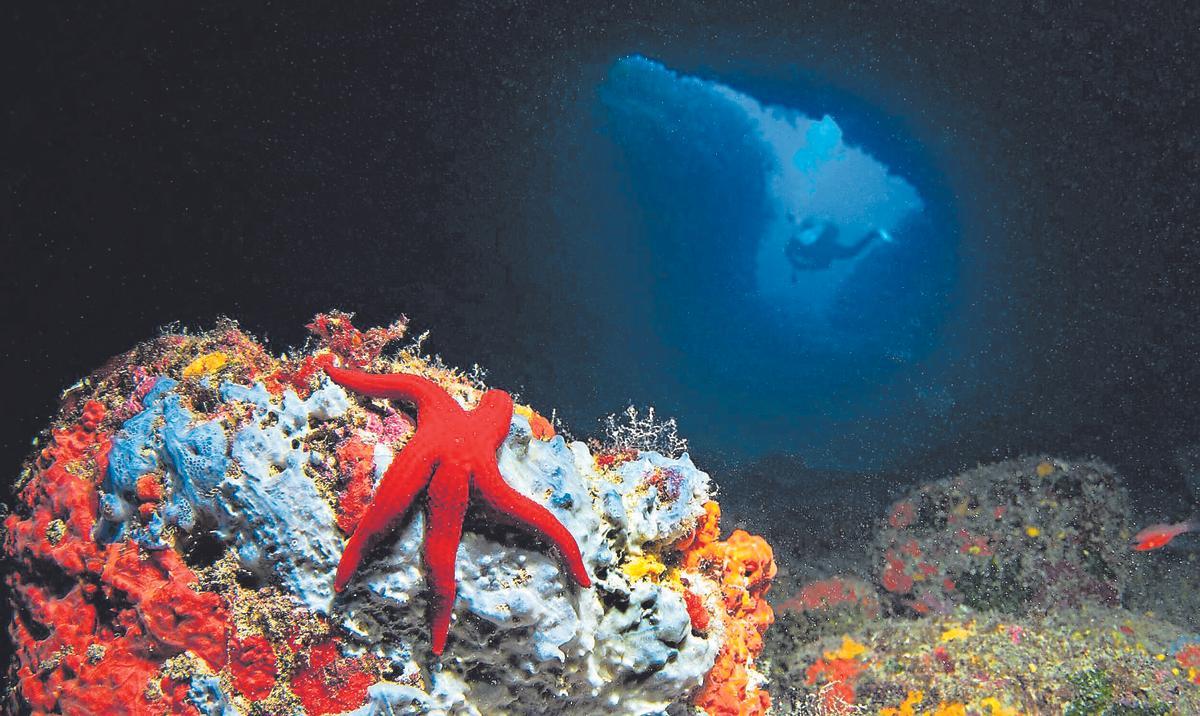 La mirada de Joan Costa. Dominical 23 de noviembre de 2025