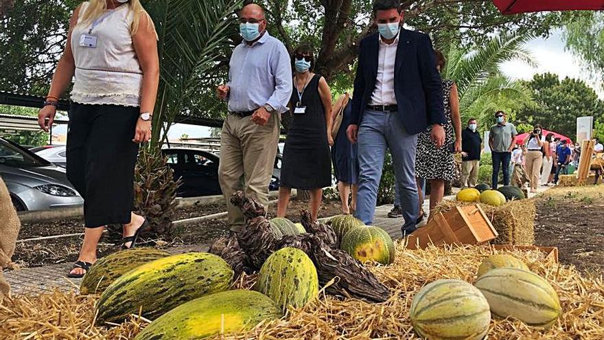 El Imida reúne en su foro del melón a un centenar de profesionales del sector