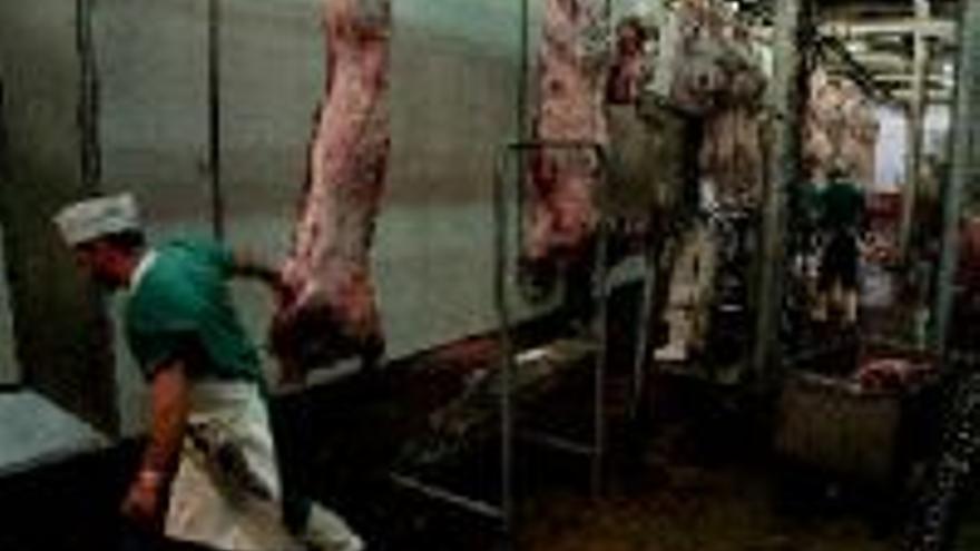La nueva normativa europea obliga a cerrar 20 mataderos extremeños