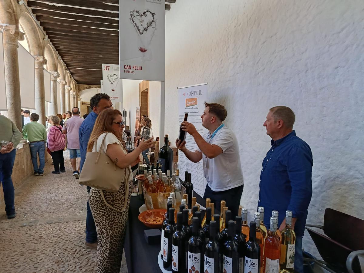 XXIII edición de la Fira del Vi de Pollença