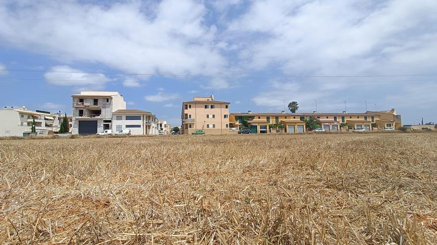 Sa Pobla: La plataforma contra el parque solar pide más contundencia al alcalde