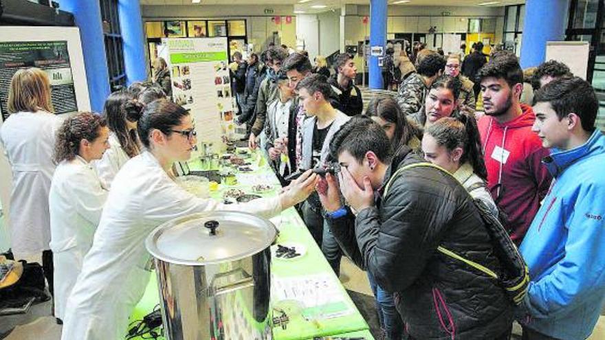 Actividad organizada en el campus con motivo del Día de la Mujer y la Niña en la Ciencia.   | // IÑAKI OSORIO