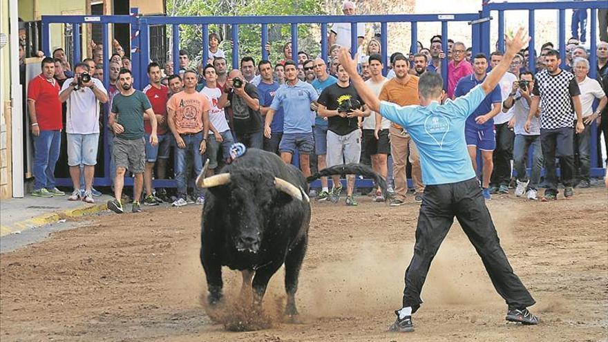 Las peñas taurinas planean salir a la calle por el «ninguneo» a los festejos