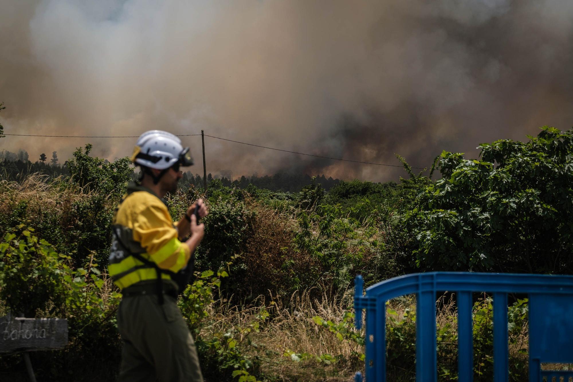 El incendio forestal de Tenerife, en imágenes