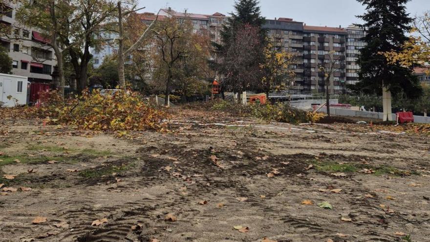 Vista de una de las zonas con pérdida de árboles. | |