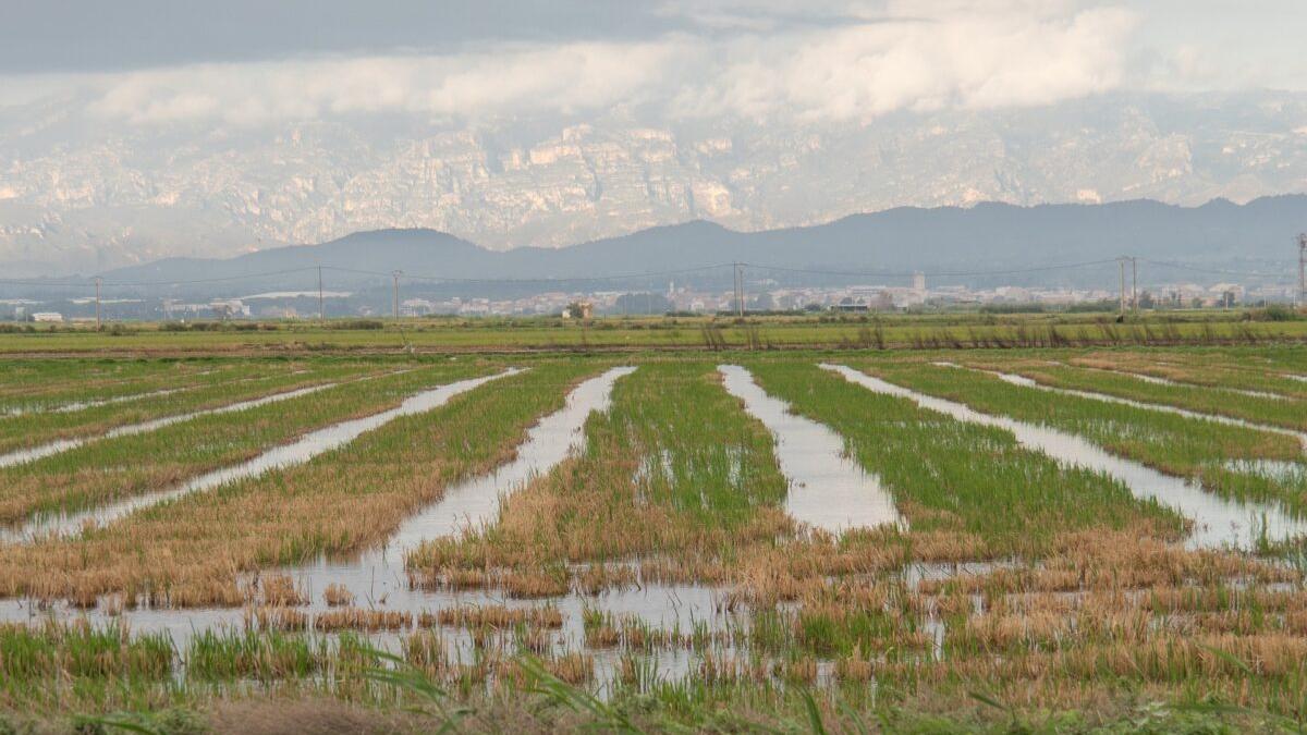 ¿Cuáles son los 37 proyectos ecológicos de España que financia la UE?