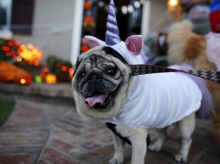 Los Ángeles, Nueva York, México, Lima, Hong Kong, Londres... Los disfraces de Halloween han tomado las calles de muchas ciudades