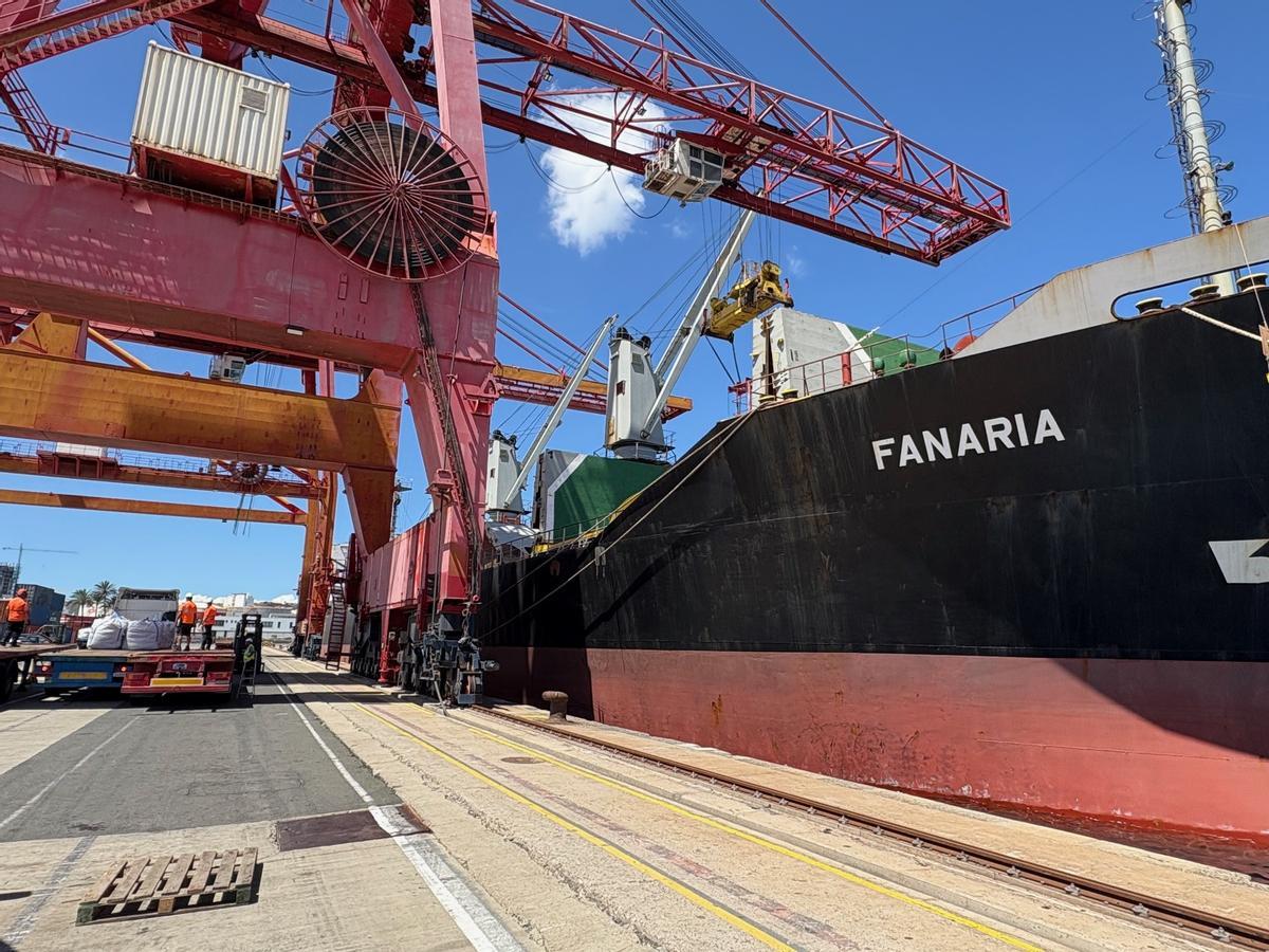 Labores de descarga de las sacas de arroz por parte de los estibadores del Puerto de Las Palmas