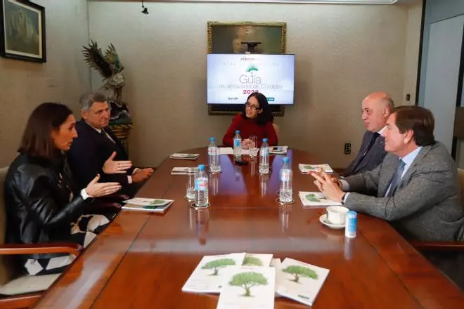El sector del aceite de oliva advierte de la caída del consumo por los precios