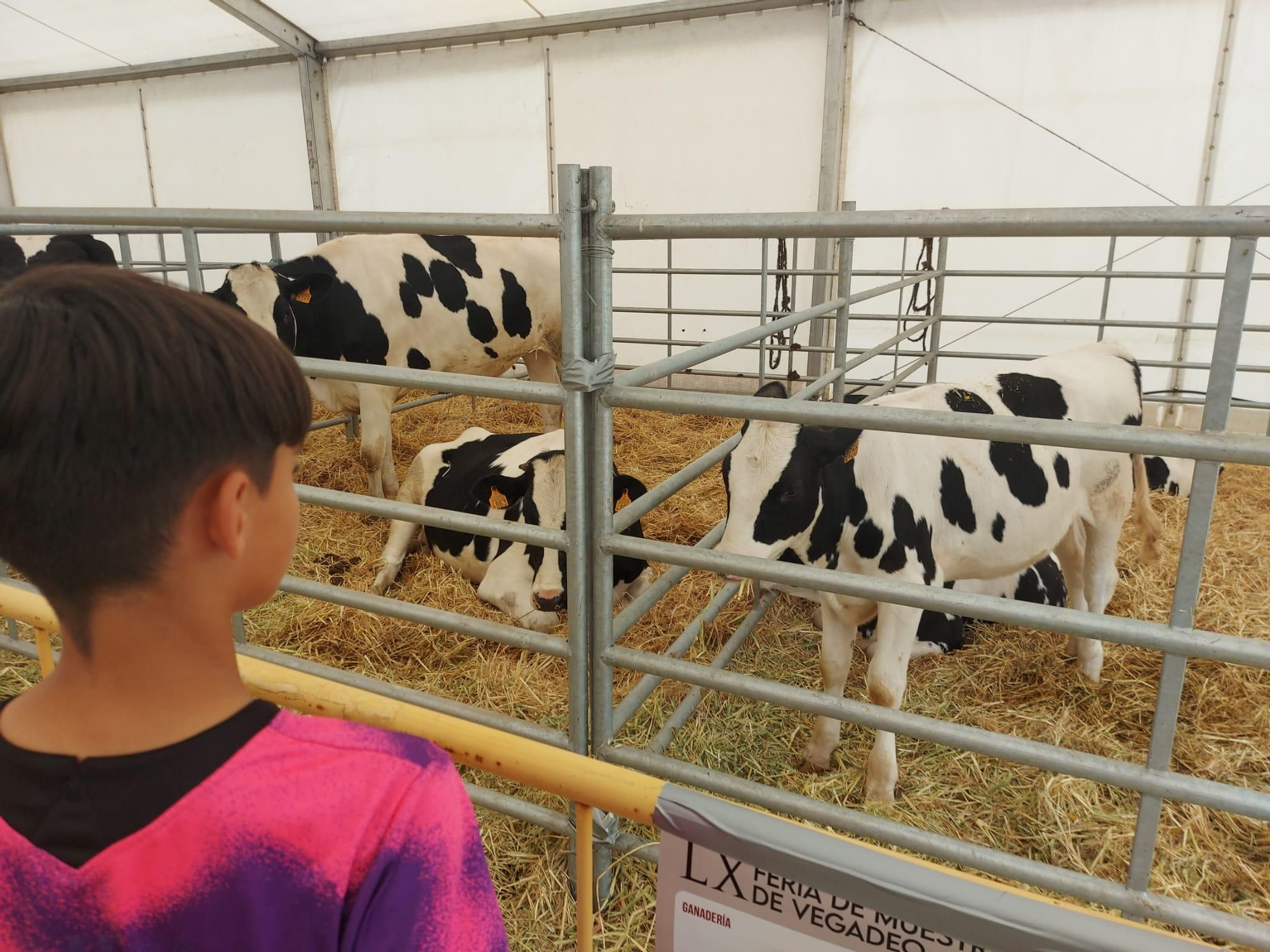 El público llenó la Feria de Vegadeo durante el fin de semana