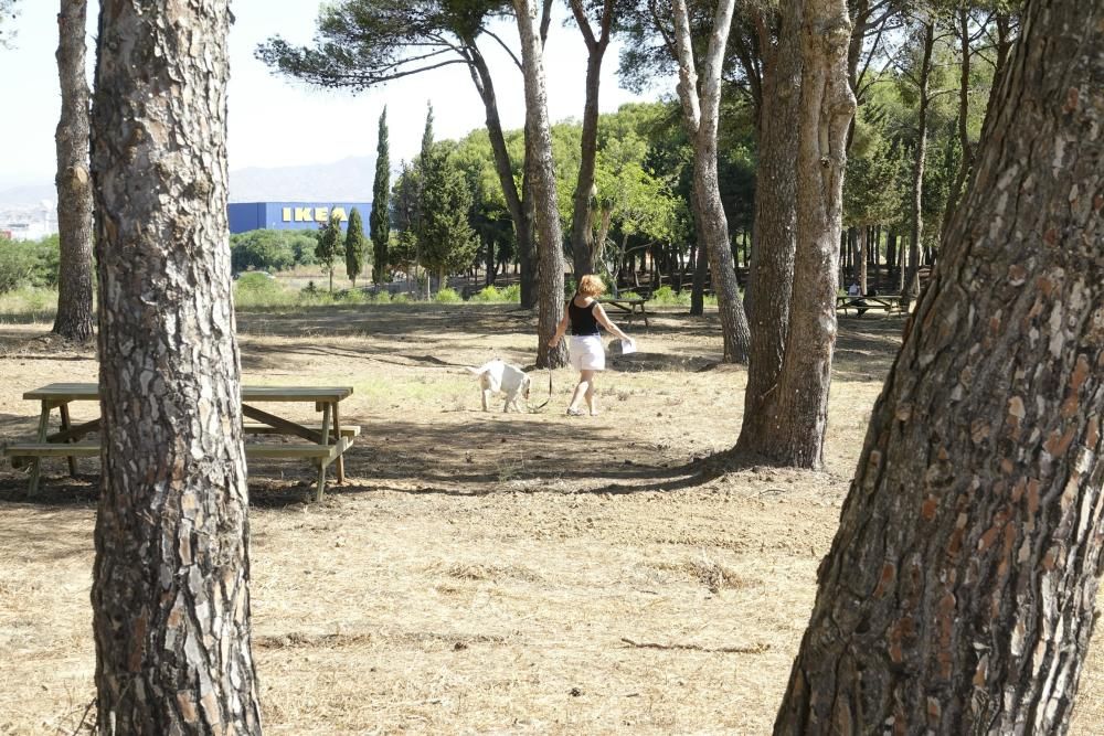 Inauguración del parque del Campamento Benítez.