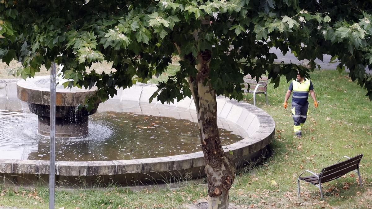 Un operario en la fuente de Vite en la plaza de Lalo Hernández