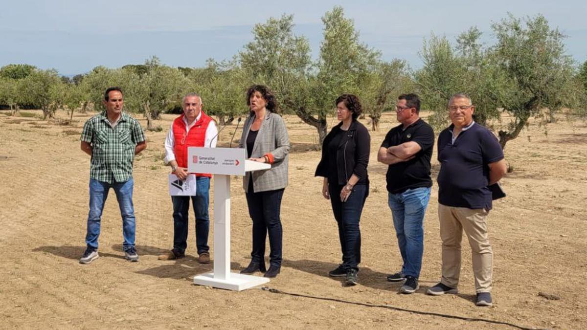 La consellera de Acció Climàtica, Teresa Jordà, acompañada por los representantes de organizaciones agrarias en una rueda de prensa en Verdú