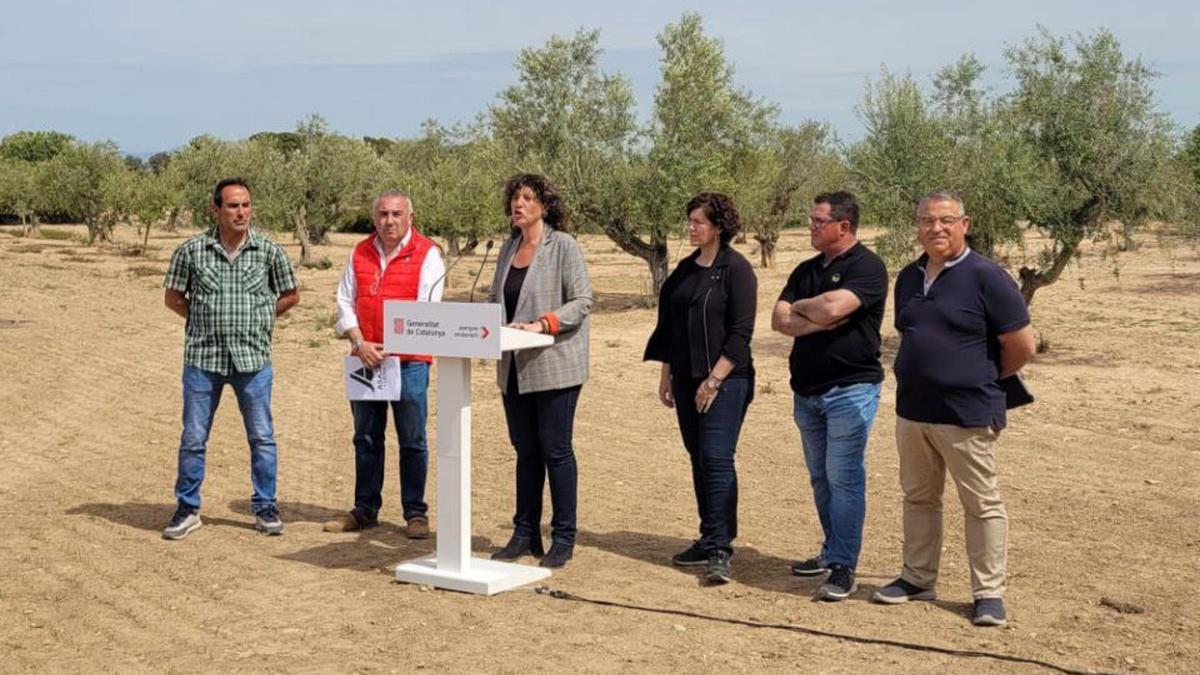 La consellera de Acció Climàtica, Teresa Jordà, acompañada por los representantes de organizaciones agrarias en una rueda de prensa en Verdú La consellera de Acció Climàtica, Teresa Jordà, acompañada por los representantes de organizaciones agrarias en una rueda de prensa en Verdú