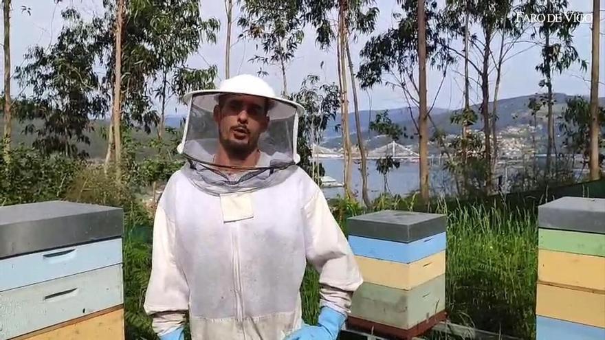 El apicultor moañés Daniel Currás tiene cerca de 400 colmenas y vive de la miel