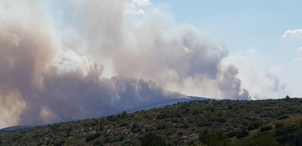 Declarado un incendio en una zona de barranco de Beneixama