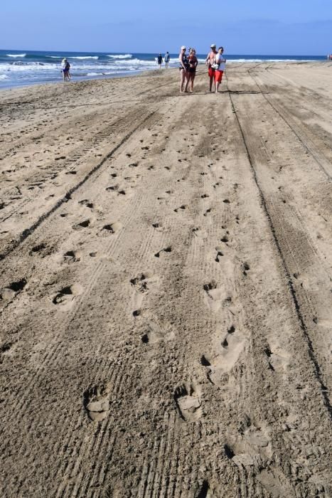 13/05/2019 MASPALOMAS. SAN BARTOLOME DE TIRAJANA. El presiddente del Cabildo de Gran Canria, Antonio Morales, y el consejero de Medio Ambiente y Emergencias, Miguel Ángel Rodríguez, informan del inicio de la segunda fase del proyecto para la recuperación de las dunas de Maspalomas, Masdunas, pionero en el mundo por sus carcterísticas .    Fotógrafa: YAIZA SOCORRO.  | 13/05/2019 | Fotógrafo: Yaiza Socorro