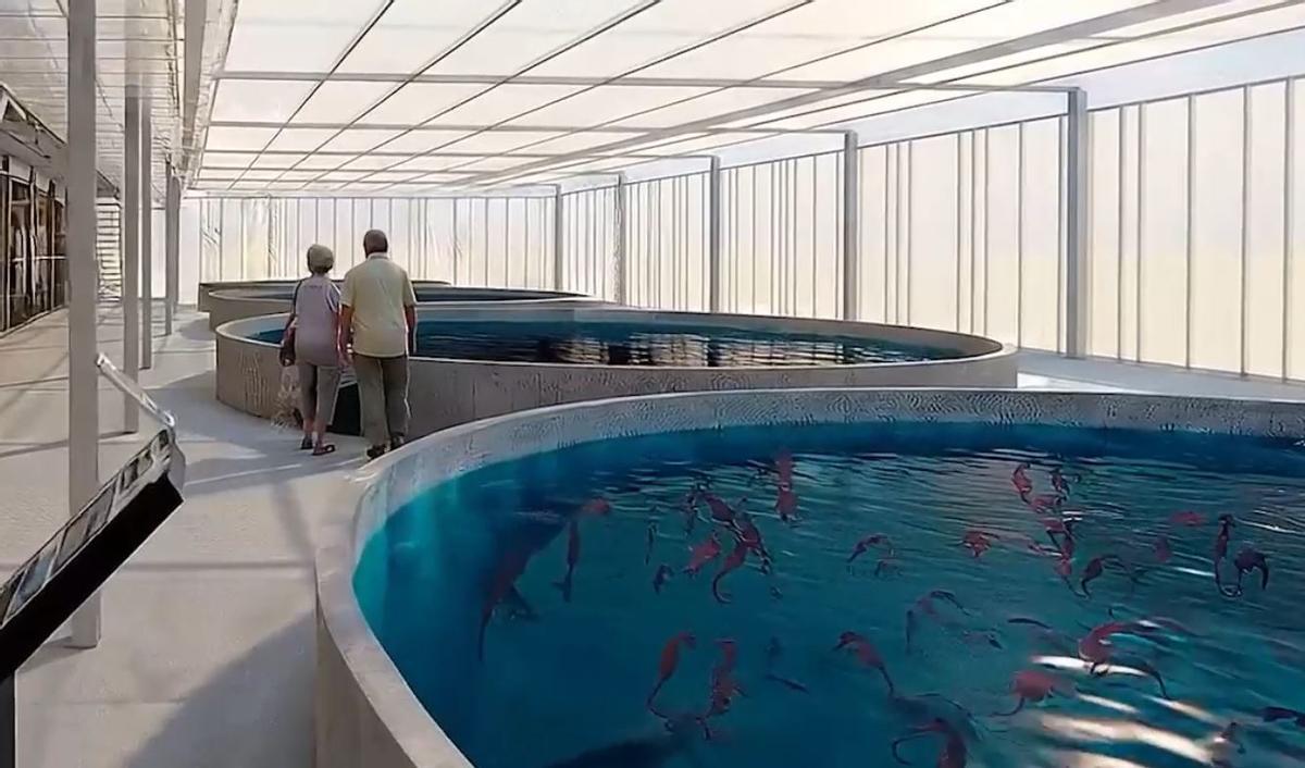 El centro contará con 21 tanques marinos