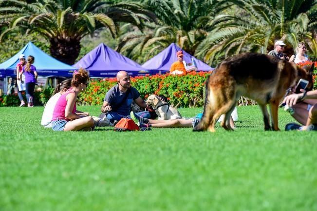 10/12/2016 MASPALOMAS. Feria de Mascotas Maspalomas 2016.Foto: SABRINA CEBALLOS