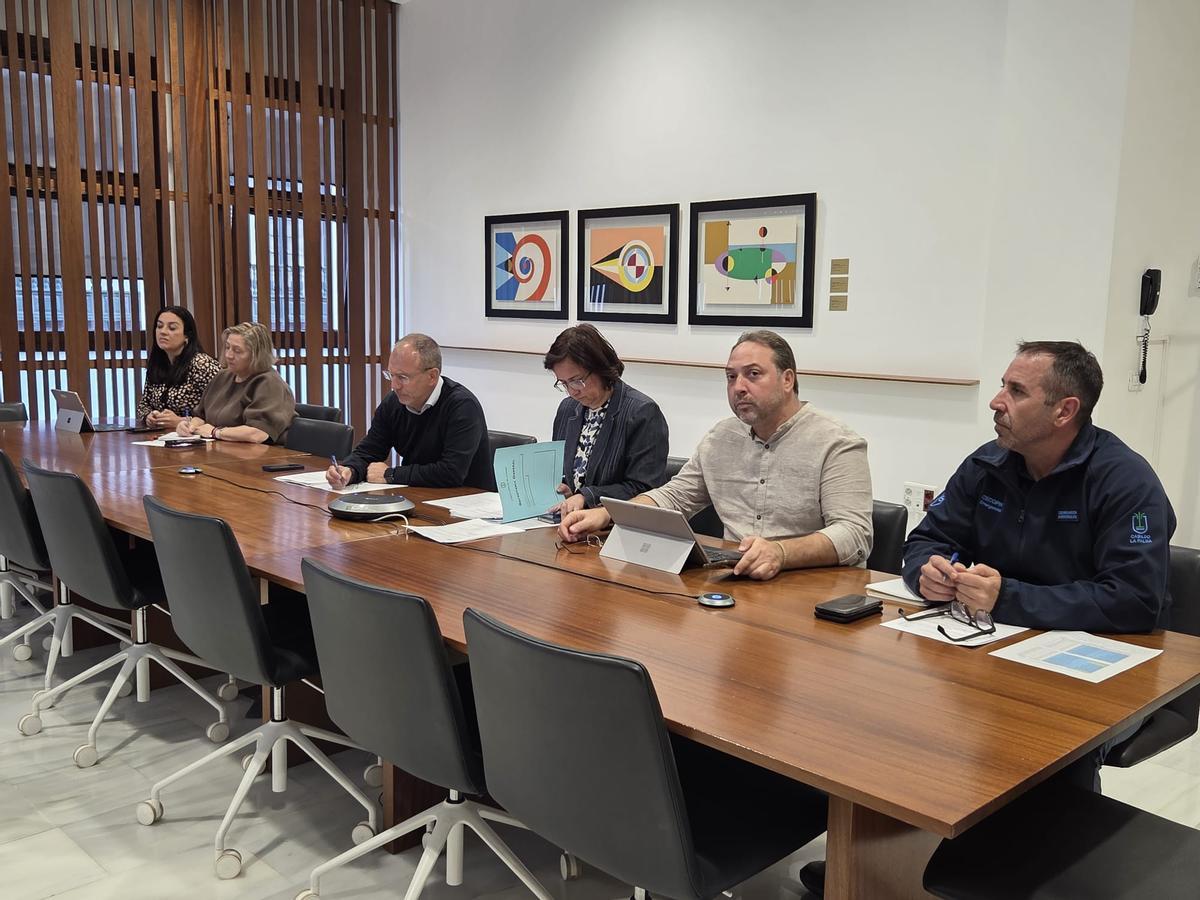 Reunión presidida por el presidente del Cabildo de La Palma, tercero por la izquerda, para analizar este asunto.