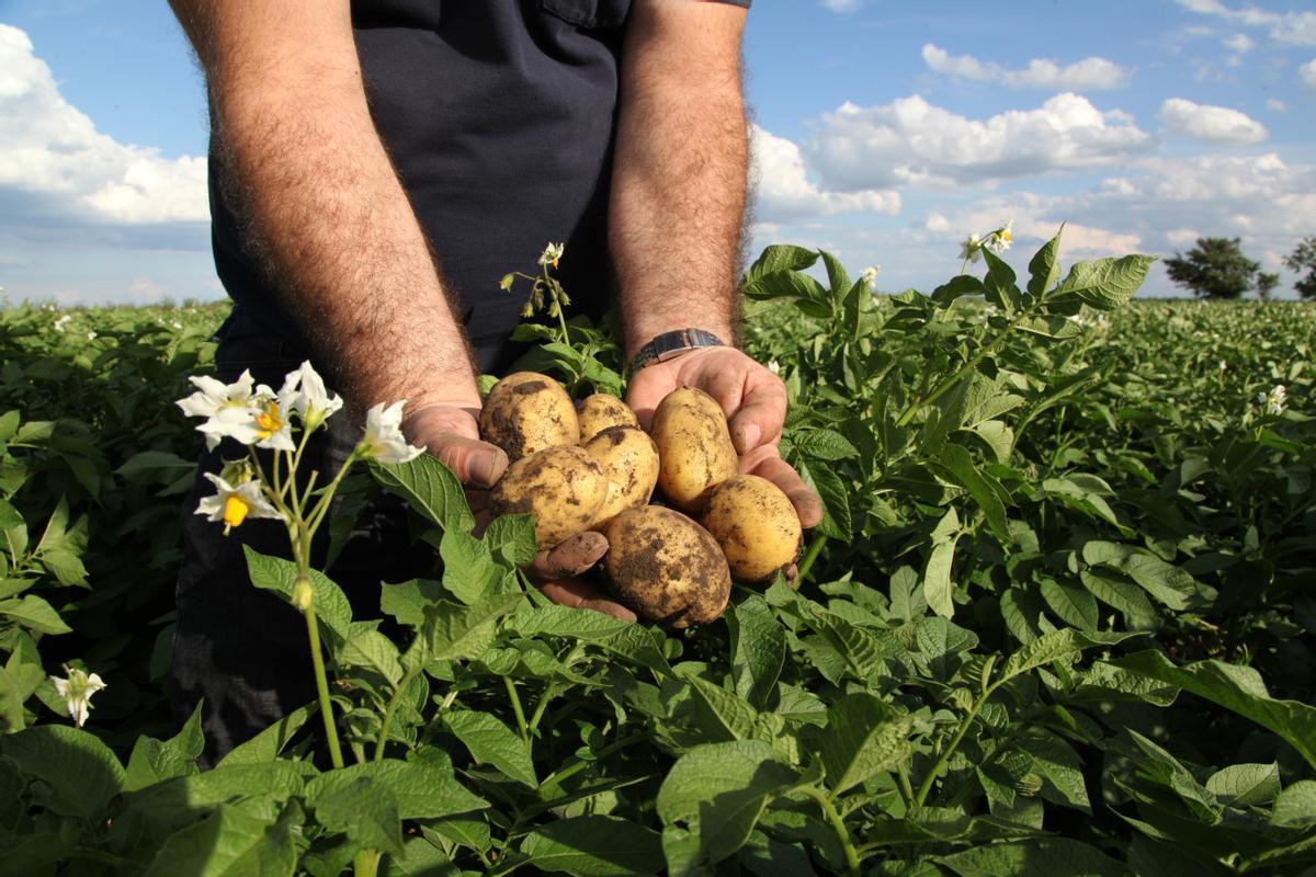 La agricultura: una profesión fundamental para nuestro futuro
