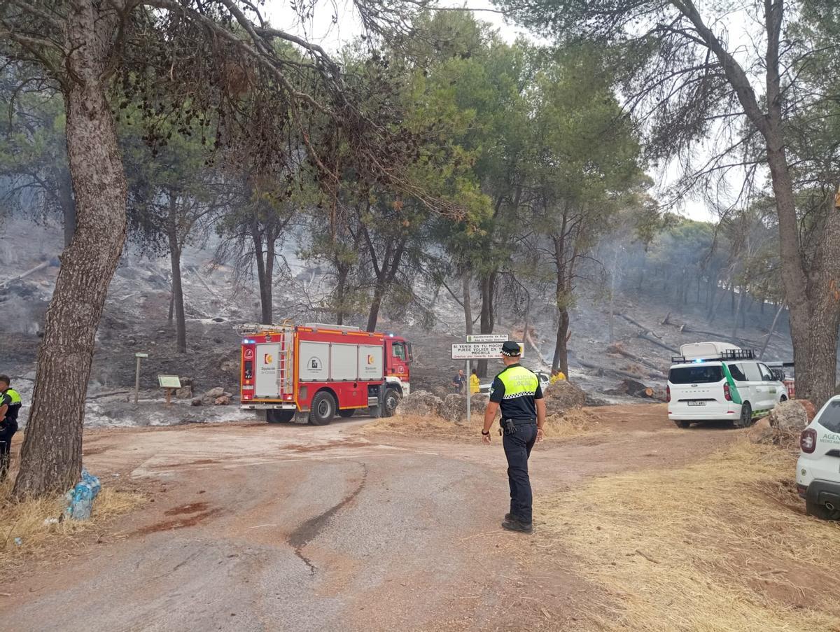 El Infoca combate un grave incendio forestal en Rute El Infoca combate un grave incendio forestal en Rute