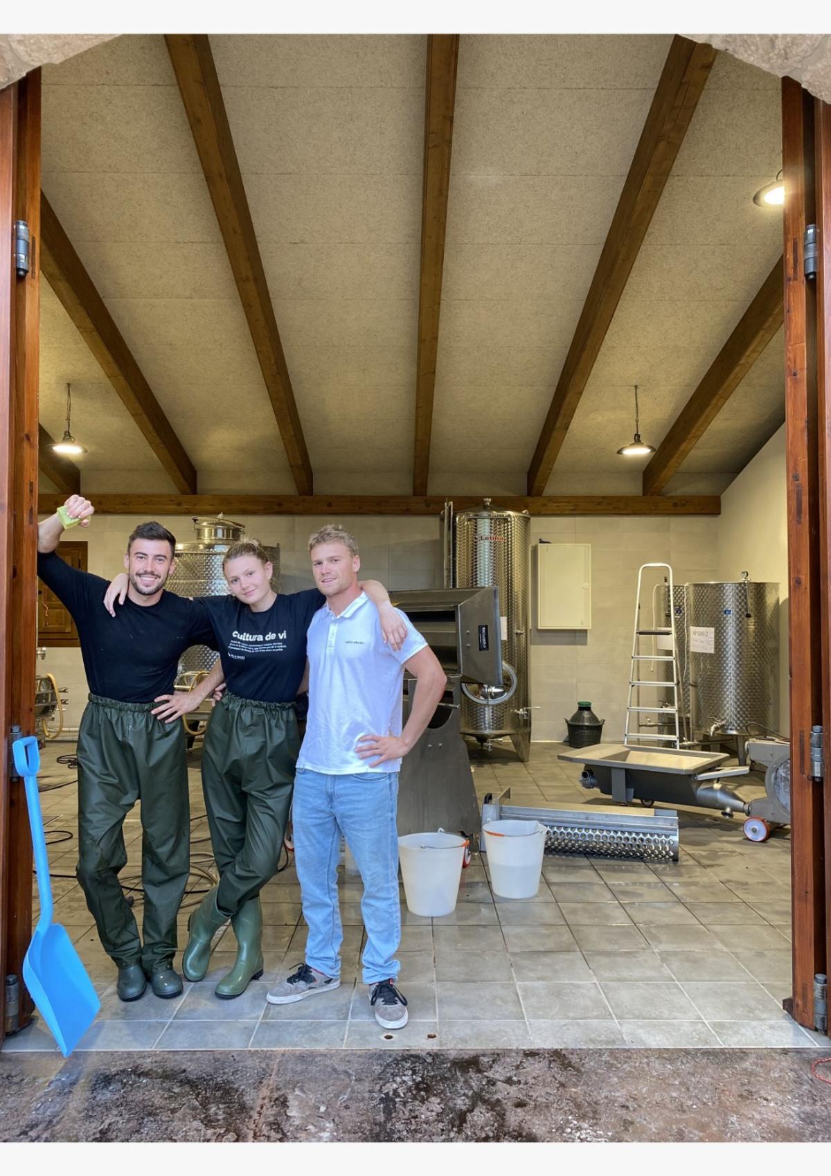 L’Enric, la Violeta i el Ferran, tres germans compromesos amb el vi