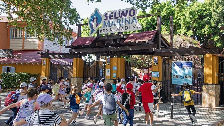 Selwo organiza sus campamentos para niños durante la  Semana Santa en Málaga