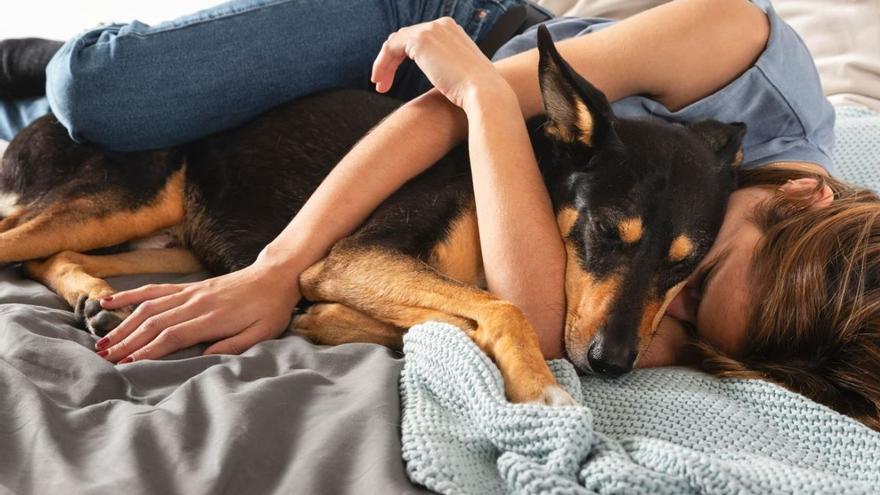 Olvídate de dormir con tu perro: los expertos advierten sobre estas tres enfermedades