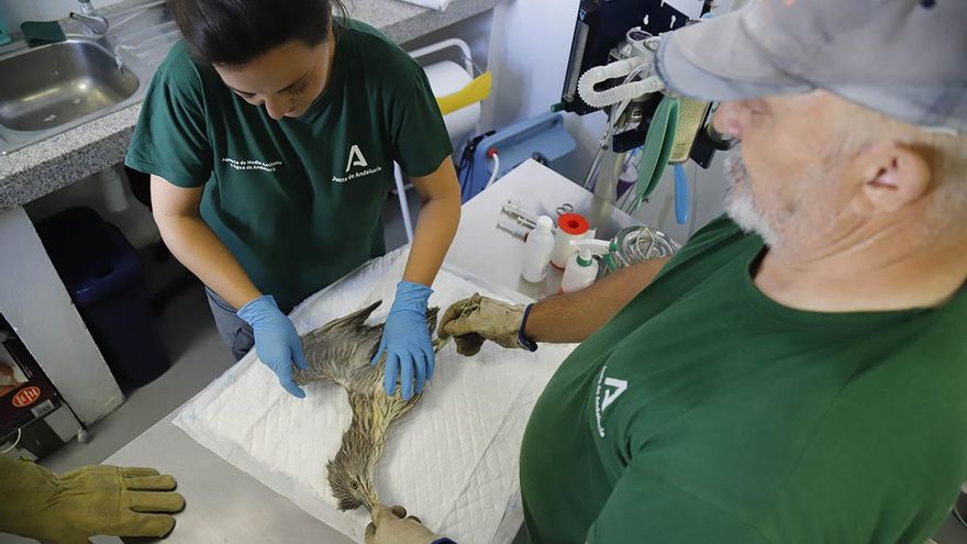 El Centro de recuperación de especies amenazadas de Córdoba, en imágenes