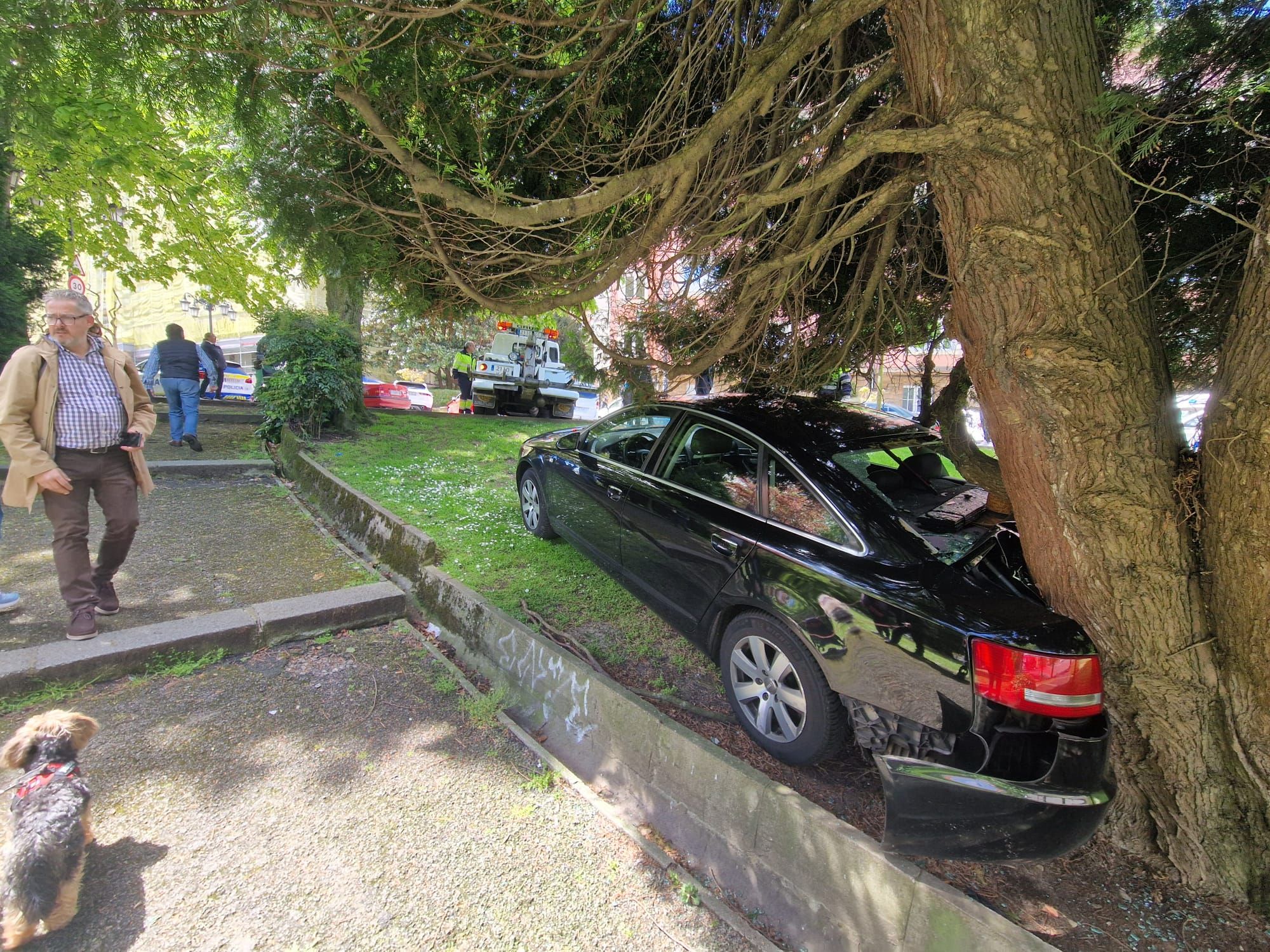 EN IMÁGENES: Un coche irrumpe en uno de los parques más conocidos de Oviedo para sorpresa de los peatones