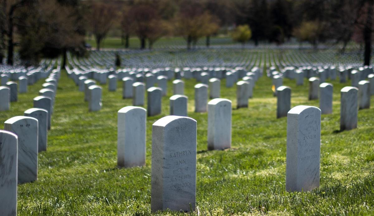 Els mosquits omplen els cementiris de forma silenciosa