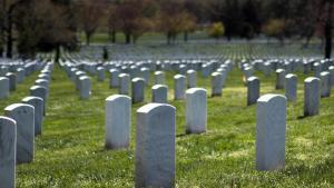 ¿Quin és l’animal que ha causat més morts que totes les guerres juntes?