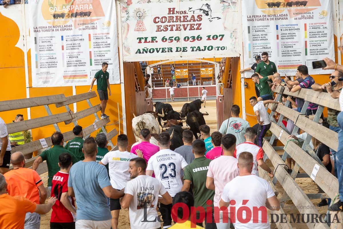 Primer encierro de la Feria Taurina del Arroz en Calasparra