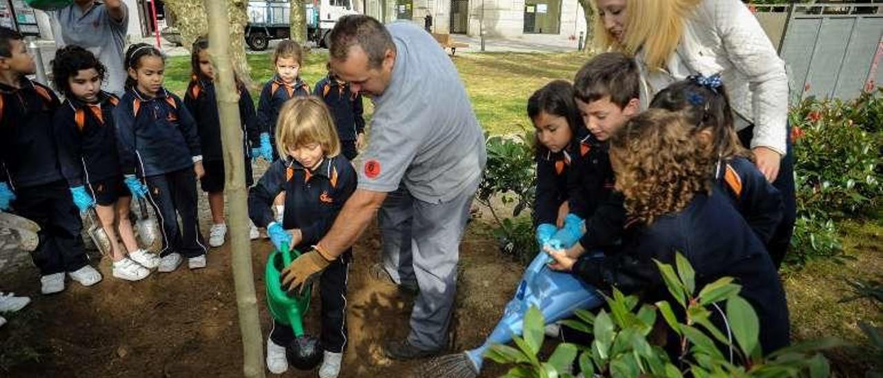 Plantación del nuevo árbol en la Plaza de España. // Iñaki Abella