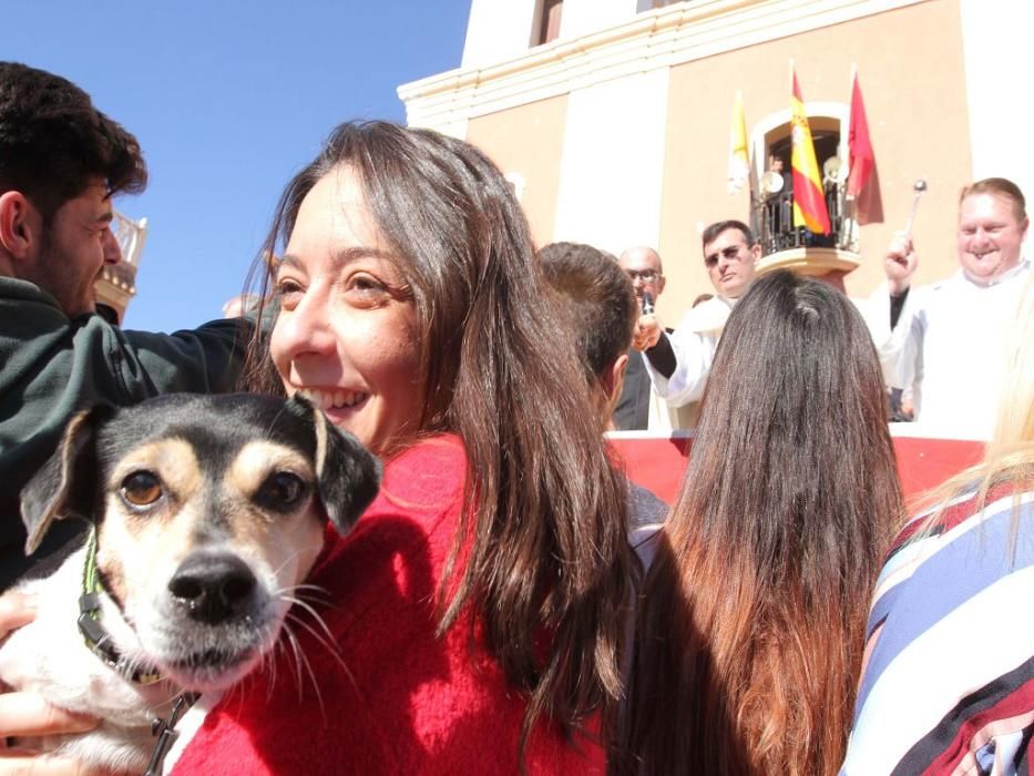 Los vecinos de Cartagena se han acercado junto a sus mascotas a recibir la bendición