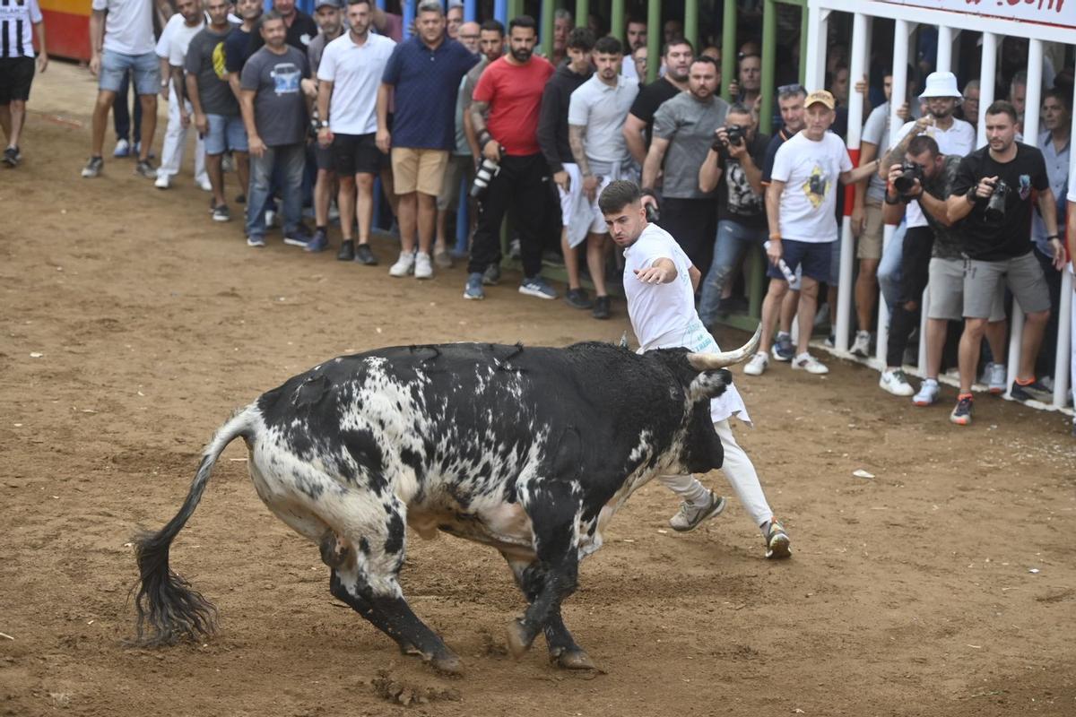 Los aficionados taurinos han disfrutado de una entretenida taarde con la exhibición de tres cerriles.