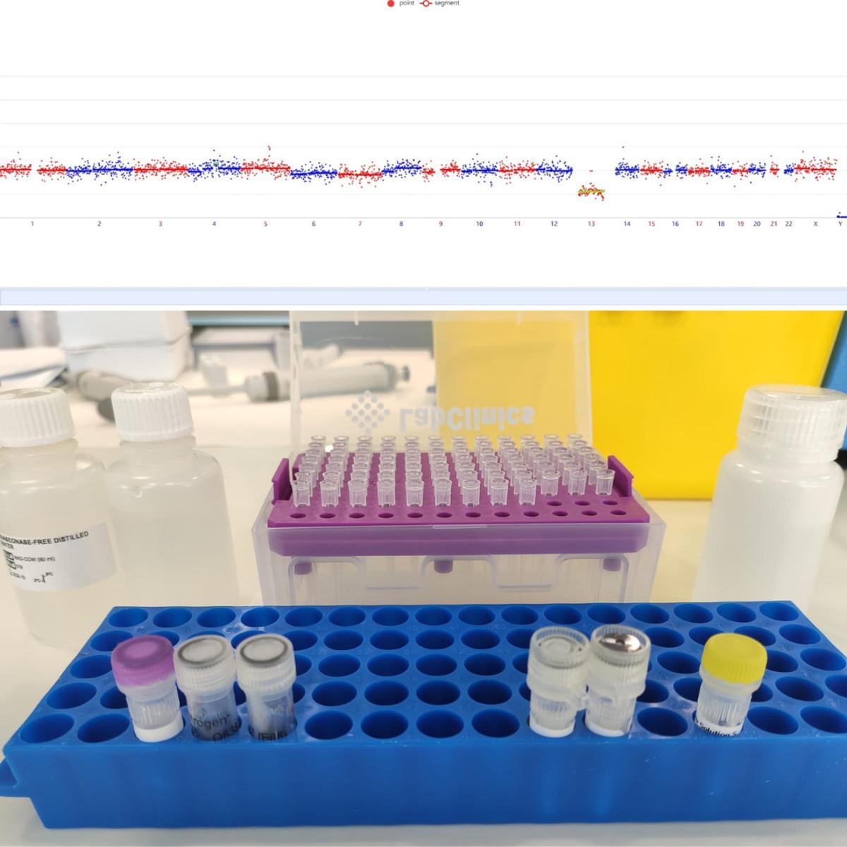 Test Genético Preimplantacional (PGT-A).