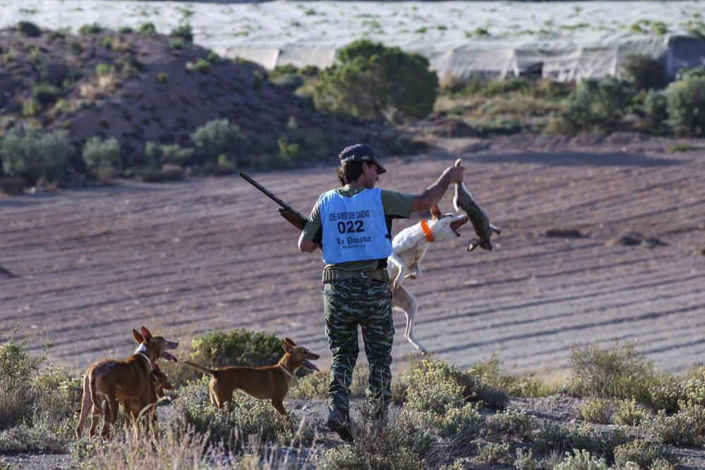 Diez mil cazadores inician la temporada de caza del conejo