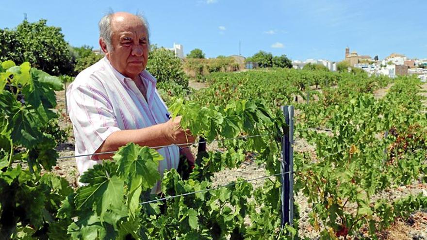 Juan Portero analiza el futuro de la viticultura