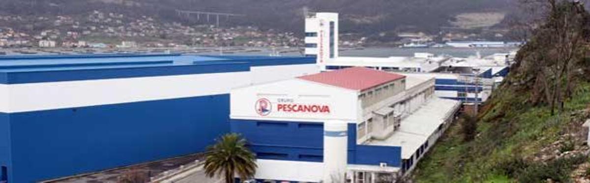 Pescanova pide a la CNMV que suspenda su cotización en Bolsa hasta formular las cuentas de 2012