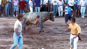 Un toro ferit amb dards i altres objectes punxants llançats pel públic, a Coria (Càceres) el 1997. Aquesta pràctica va ser prohibida fa dos anys.