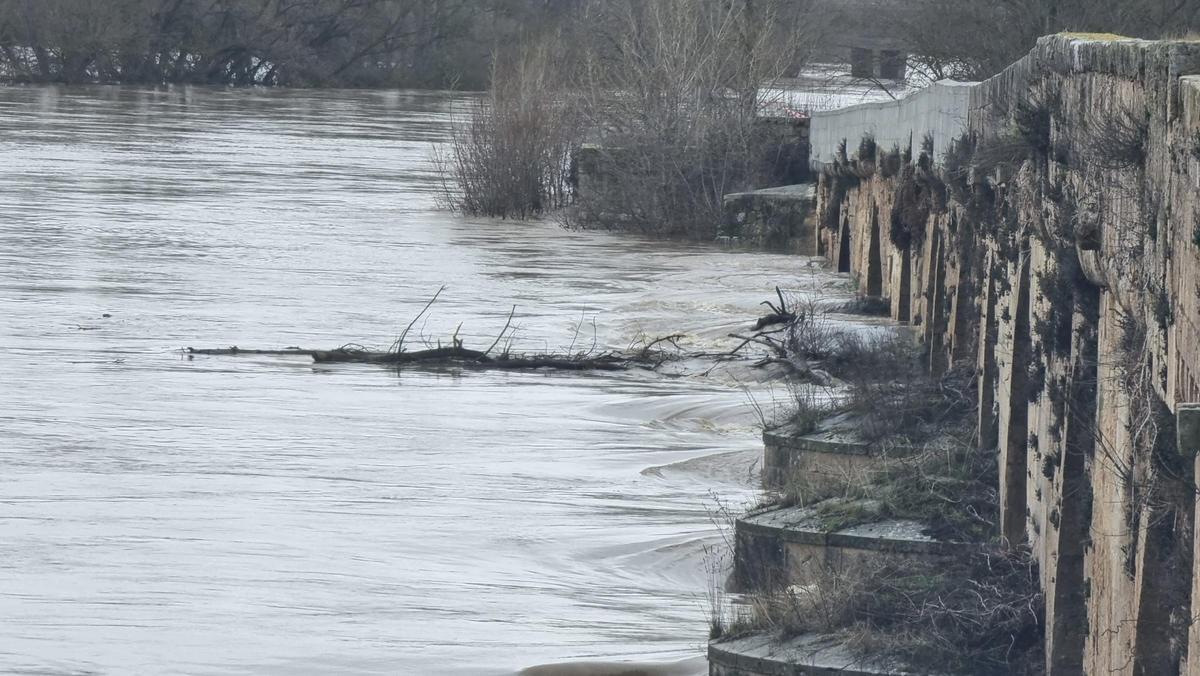 GALERÍA | La crecida del río Duero anega algunas zonas de Toro