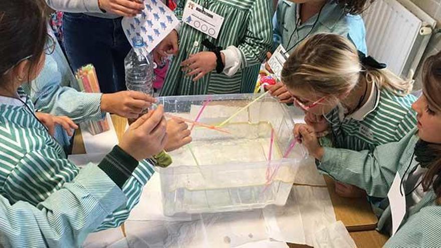 Los alumnos de Magisterio del CEU enseñan a los más pequeños sobre cuidado del medioambiente en el colegio Jesuitinas.