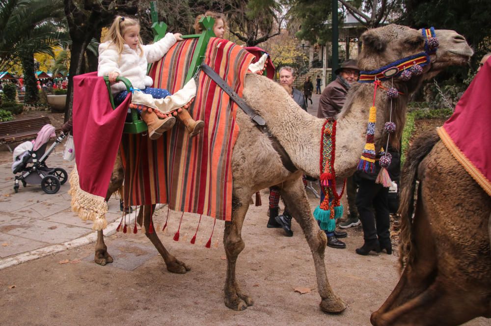 Imágenes del Mercat de Nadal de Alcoy.