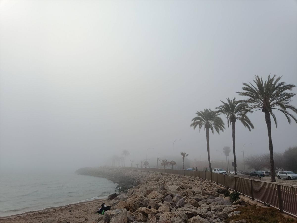 Las imágenes de la niebla en Mallorca