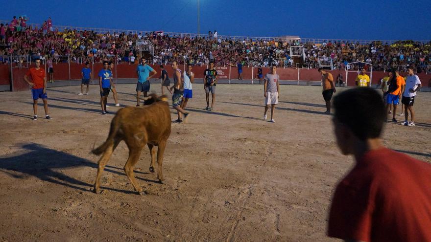 Críticas al alcalde de Las Torres por recuperar los festejos taurinos