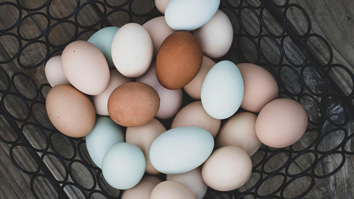 Diferents tipus d'ous.