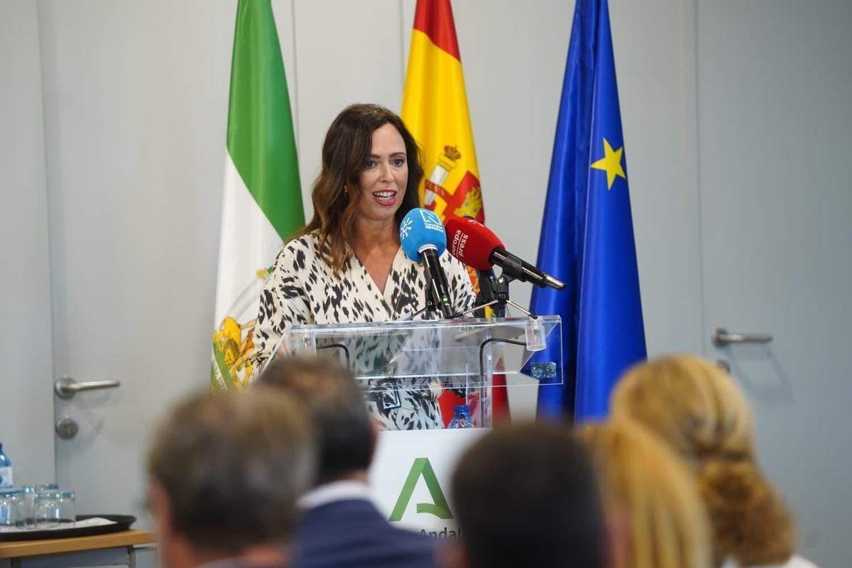La consejera de Fomento, Articulación del Territorio y Vivienda, Rocío Díaz, durante la presentación este martes de la bolsa de suelo de la Junta.