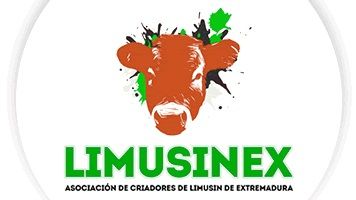 LOGO LIMUSINEX